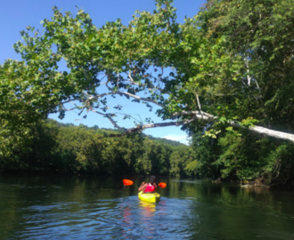 woman in kayak enjoying the float on the river going under a large branch over the water Downriver Canoe Company Shenandoah Valley River
